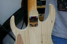 Guitar